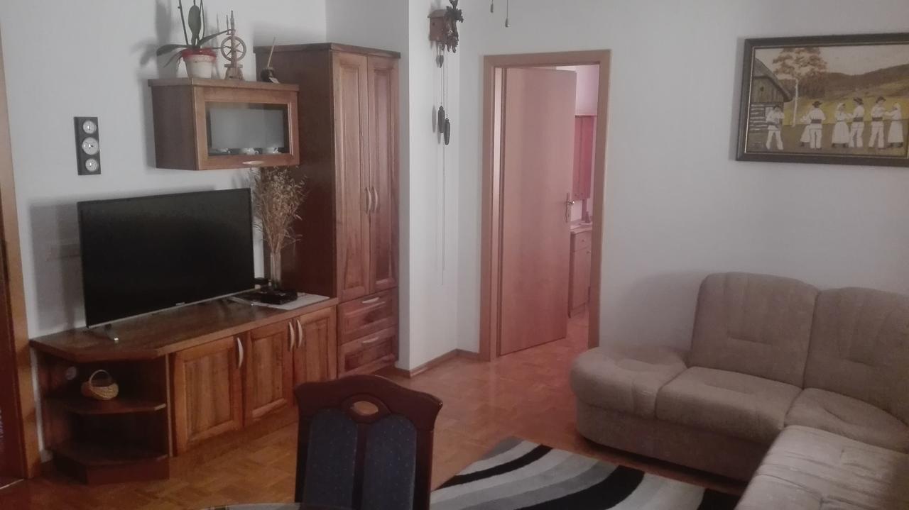 Apartma Tim Music Apartment Črnomelj Екстериор снимка